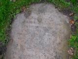 image of grave number 88117
